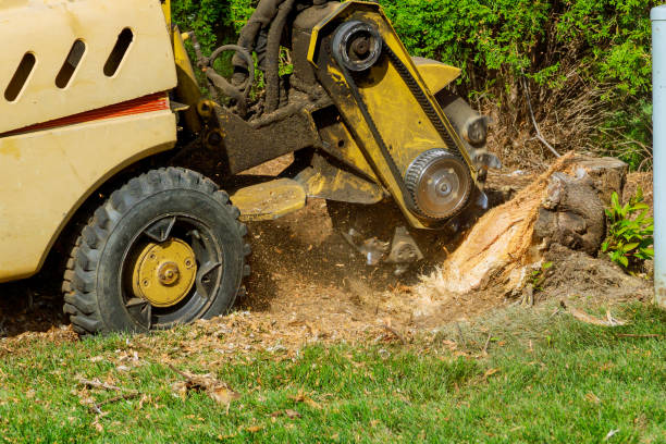 Best Weed Control  in Simsbury Center, CT